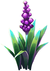 Stenchflower
