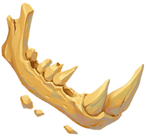 Big Skeleton Bone