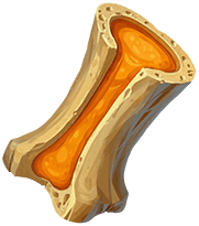 Bone Marrow