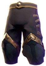 Armor Pants Ranger T2 Onyx (Exceptional)