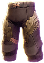 Armor Pants Druid T2 Cinder