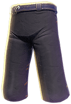 Armor Pants Knight T1 Aegis (Exceptional)