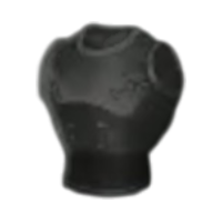 Chest